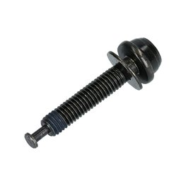 SCREW 43mm
