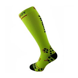 EVOTEC SILVER