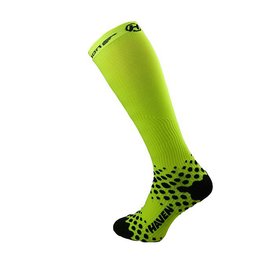 EVOTEC COMAX