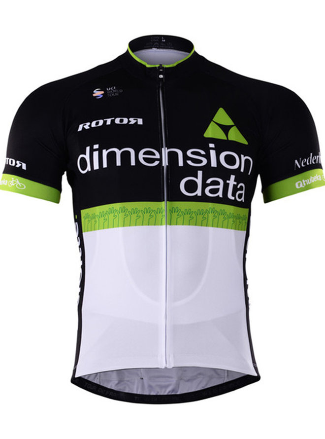 DIMENSION DATA 2017
