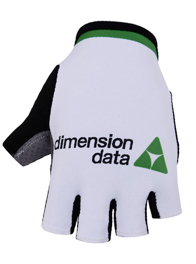 DIMENSION DATA 2018