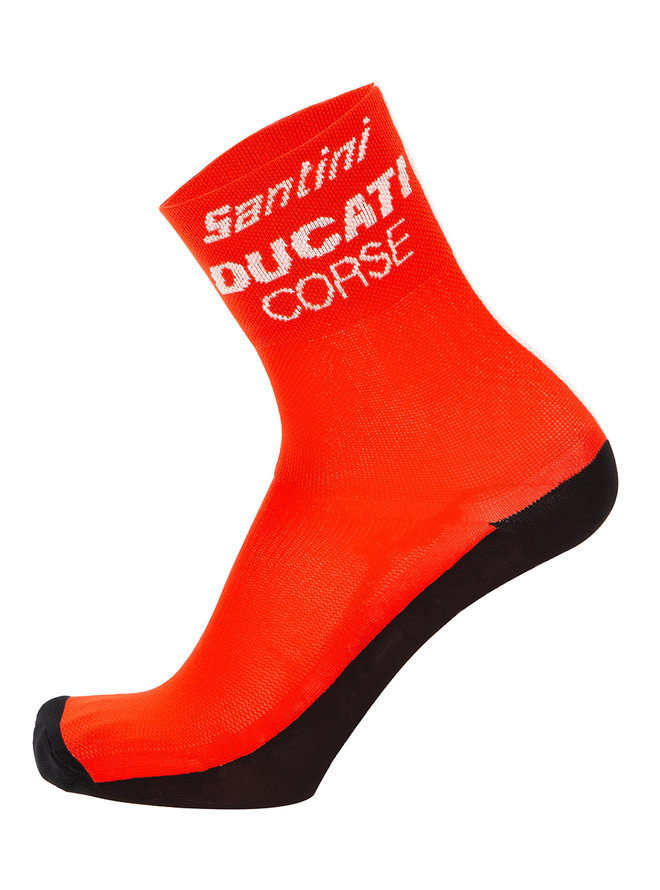 DUCATI CORSE 2019