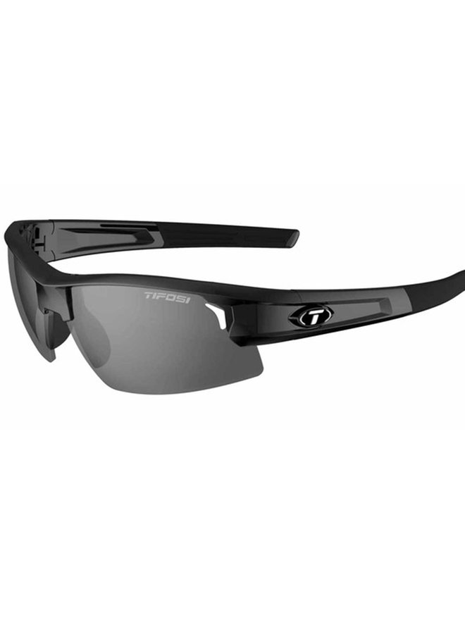 SYNAPSE POLARIZED